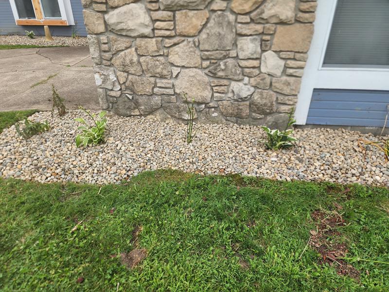 Stone veneer and new landscaping on a rehab